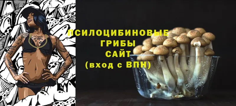 блэк спрут ссылки  Ярцево  Галлюциногенные грибы Magic Shrooms 